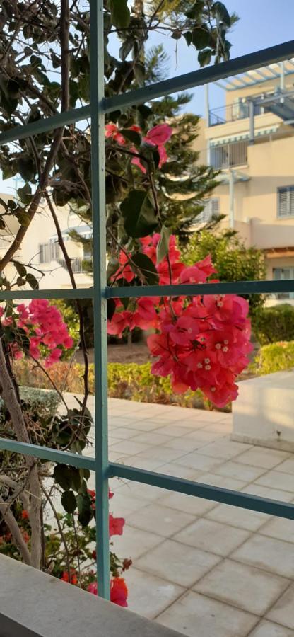 Pelagos Hill Apartment Pafos Exterior foto